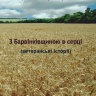 З Барвінківщиною в серці. Ветеранські історії